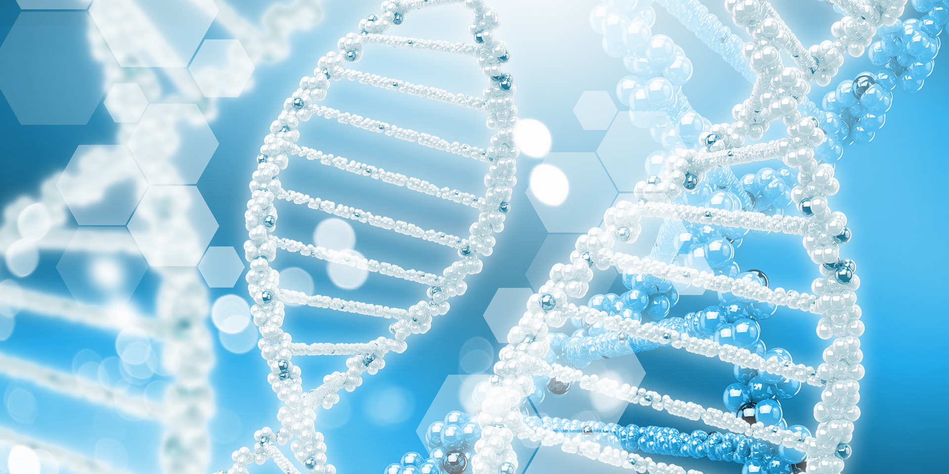 Dreamstime Xxl 48689709 6499f13ad3857