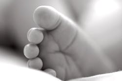 Dreamstime Xxl 7907526 6492fc952485a Dreamstime Xxl 7907526 6492fc952485a