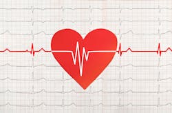 Dreamstime Xxl 95164301 6499ebde5e9bc Dreamstime Xxl 95164301 6499ebde5e9bc