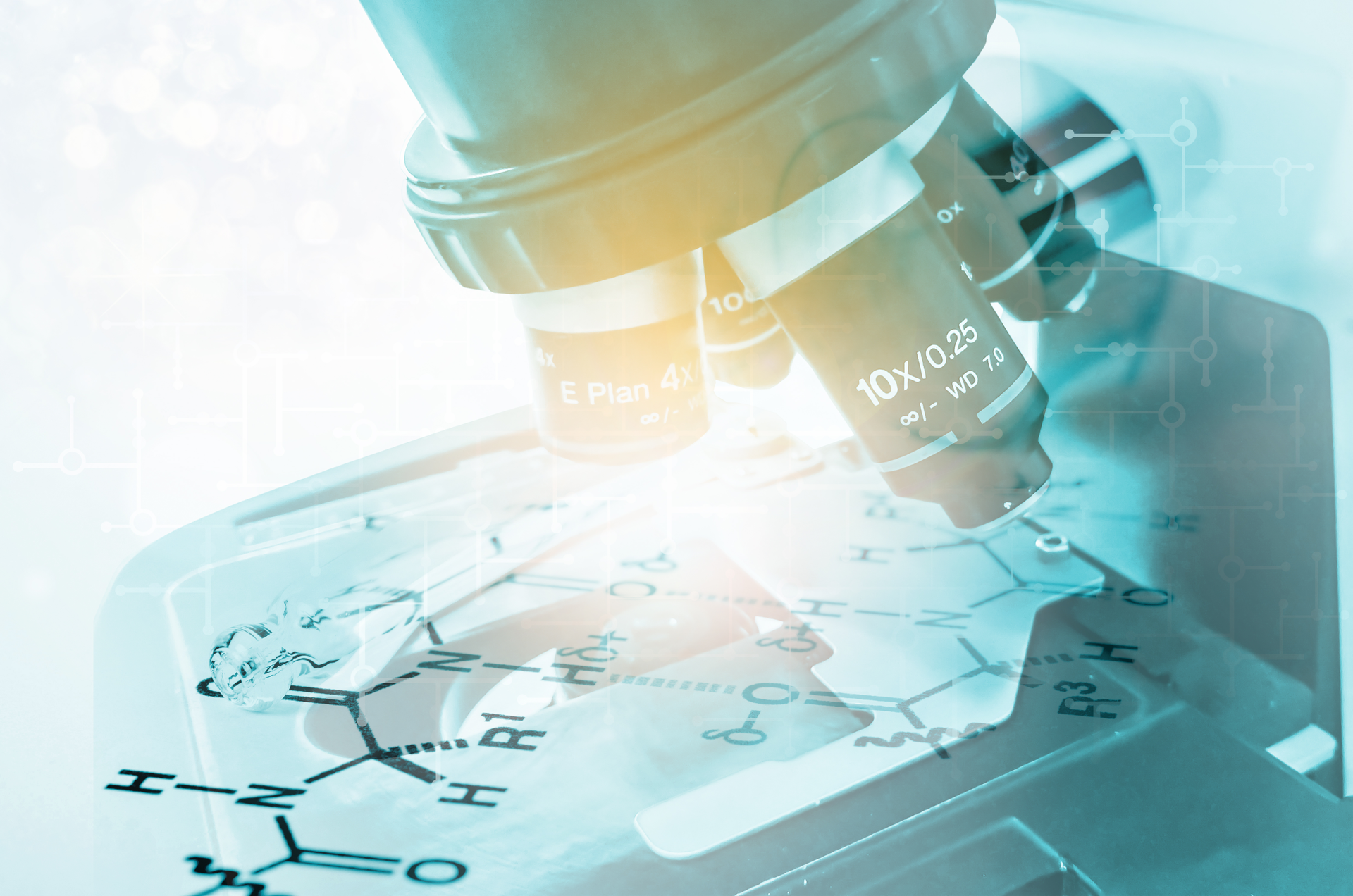 Dreamstime Xxl 96061053 64872f65e1c7a