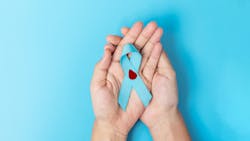 Dreamstime Xxl 196211683 64bef9f0d5074 Dreamstime Xxl 196211683 64bef9f0d5074