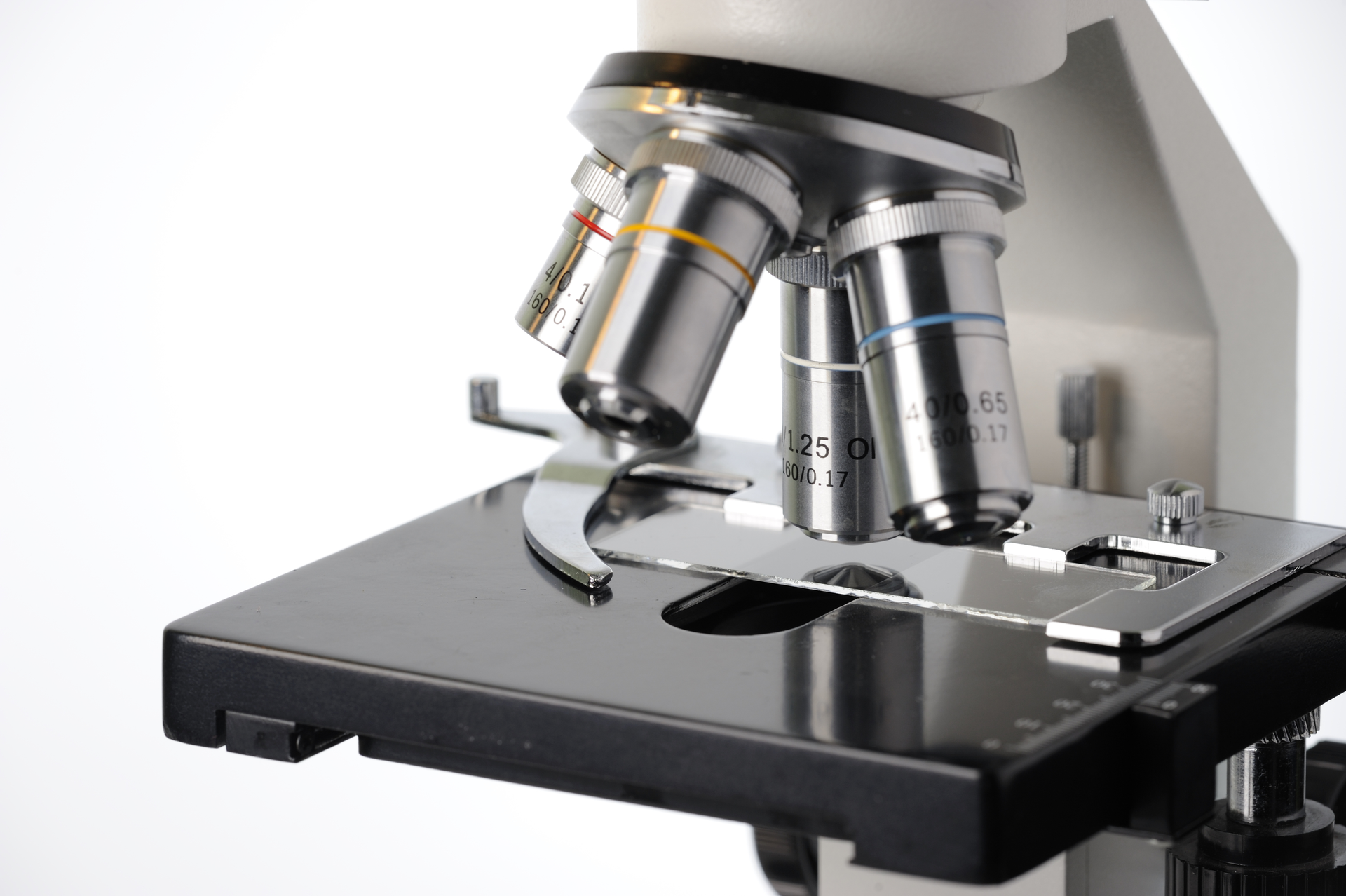 Dreamstime Xl 11666033 64ba9b95766ba