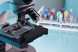 Dreamstime Xxl 31209003 64c7ca4a3e583 Dreamstime Xxl 31209003 64c7ca4a3e583