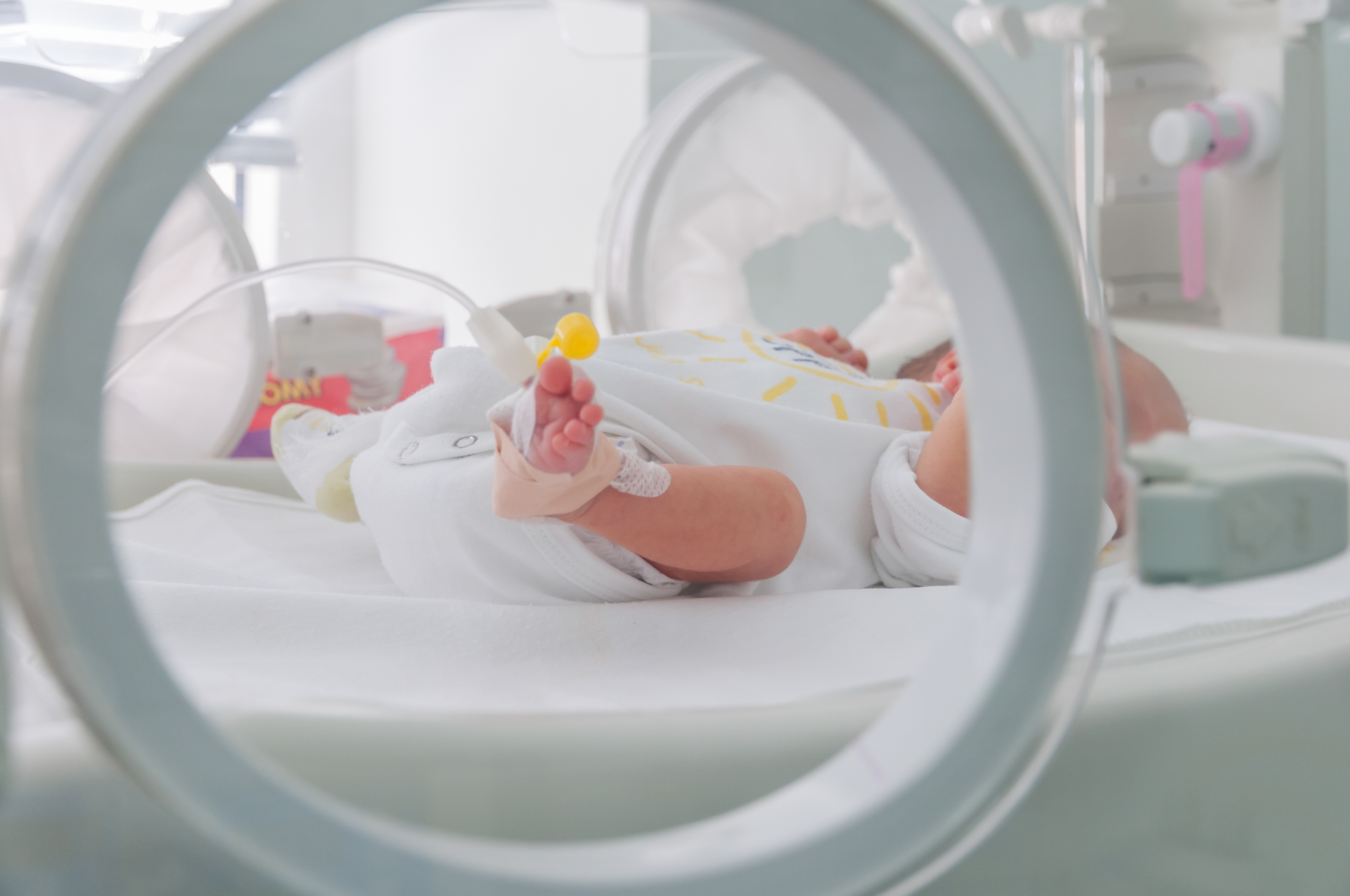 Dreamstime Xxl 89752723 64b554f3c8f7c