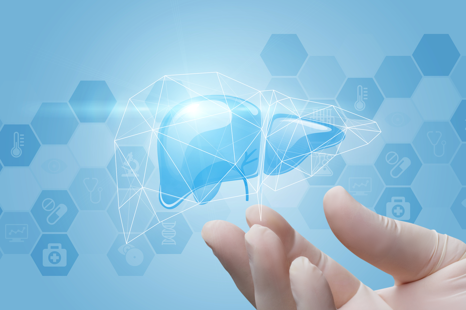 Dreamstime Xxl 97465594 2 64bad2bb56b4c