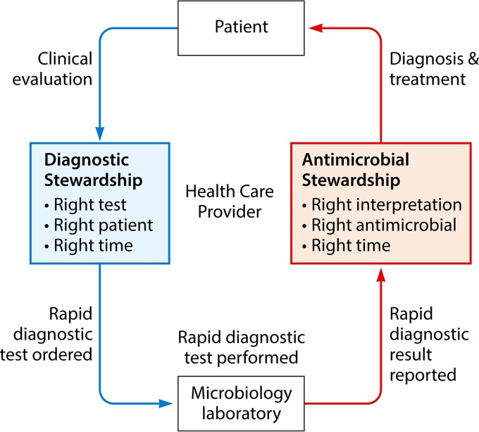 Respiratory Illnesses: A Growing Opportunity For Stewardship | Medical ...