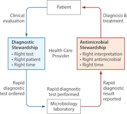 Figure 2: Roles of diagnostic and antimicrobial stewardship in the implementation of rapid molecular infectious disease diagnostics in the clinical setting.