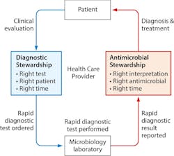 Figure 2: Roles of diagnostic and antimicrobial stewardship in the implementation of rapid molecular infectious disease diagnostics in the clinical setting. Figure 2: Roles of diagnostic and antimicrobial stewardship in the implementation of rapid molecular infectious disease diagnostics in the clinical setting.
