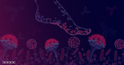 Photo courtesy of EUROIMMUN US Photo courtesy of EUROIMMUN US