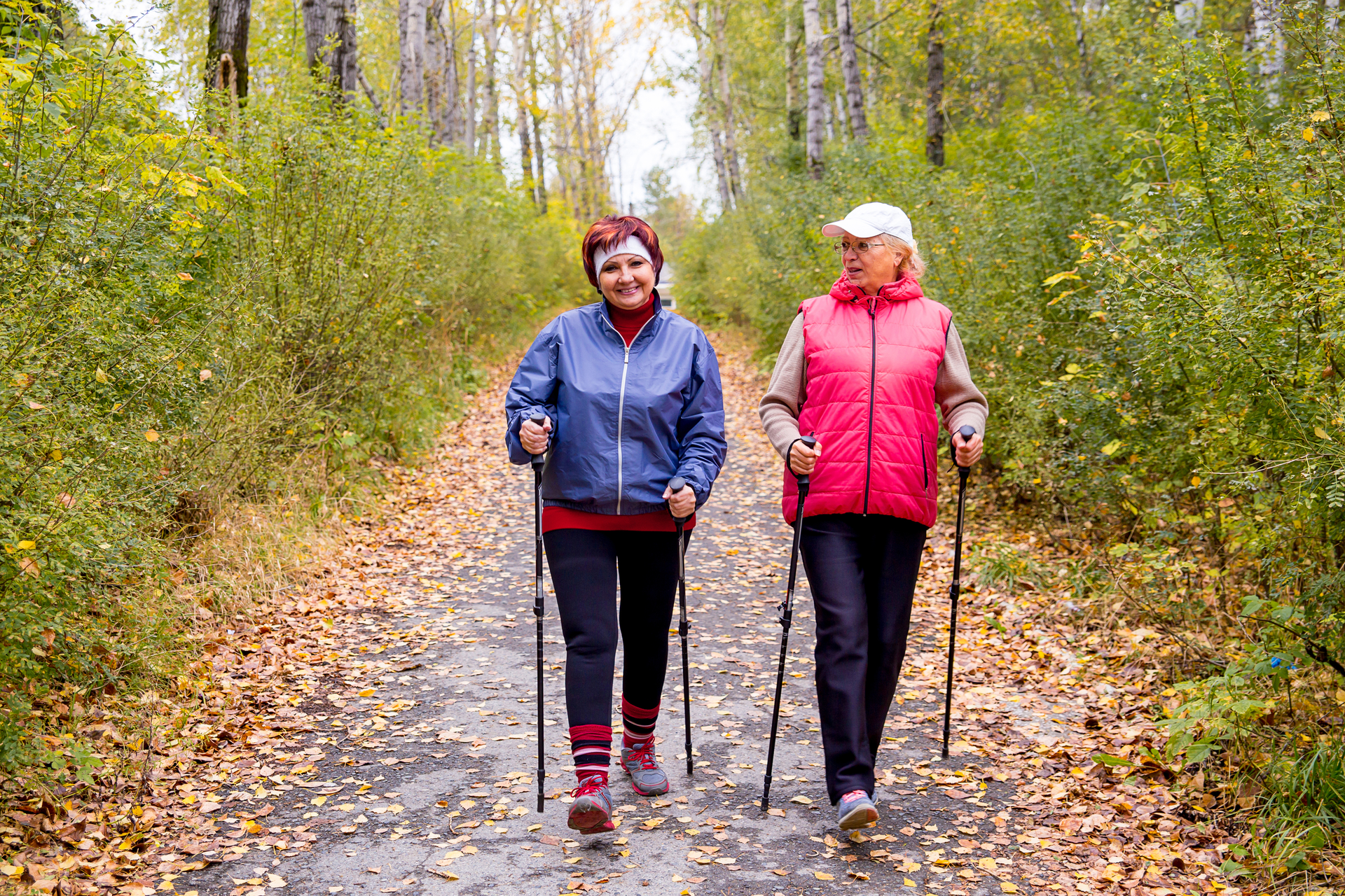 Dreamstime Xl 105348204 64d24dc603369