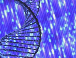 Dreamstime Xl 213198446 64d251ebe3972 Dreamstime Xl 213198446 64d251ebe3972