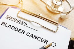 Dreamstime Xxl 120825345 1 64eca5416db56 Dreamstime Xxl 120825345 1 64eca5416db56