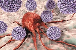 Dreamstime Xxl 125858593 64eca662ebc1c Dreamstime Xxl 125858593 64eca662ebc1c