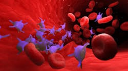 Dreamstime Xxl 142502254 Dreamstime Xxl 142502254