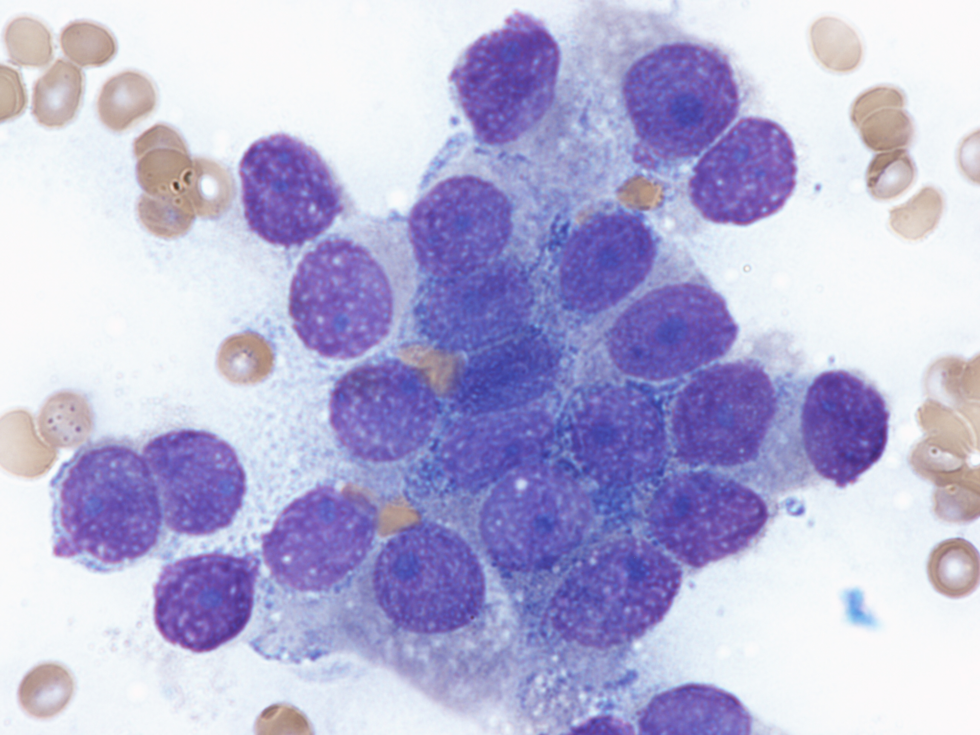 Dreamstime Xxl 281102383 64de3adf0bd46