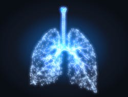 Dreamstime 194809772 6501d4328be5b Dreamstime 194809772 6501d4328be5b