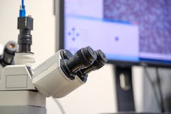 Dreamstime Xxl 107086721 1 64f8e7e1b4ace Dreamstime Xxl 107086721 1 64f8e7e1b4ace