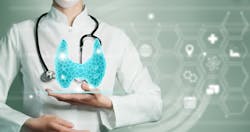 Dreamstime Xxl 246992202 6509ae9e9444f Dreamstime Xxl 246992202 6509ae9e9444f