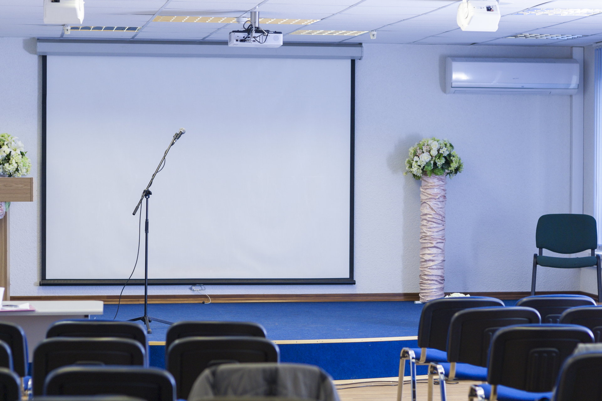 Dreamstime Xxl 53890356 6516e9a79d0c1