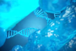 Dreamstime Xxl 107603426 65295bdc8f592 Dreamstime Xxl 107603426 65295bdc8f592