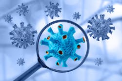 Dreamstime Xxl 177655691 6531886992318 Dreamstime Xxl 177655691 6531886992318