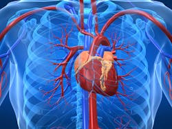 Dreamstime Xxl 5564150 651abd11704c6 Dreamstime Xxl 5564150 651abd11704c6