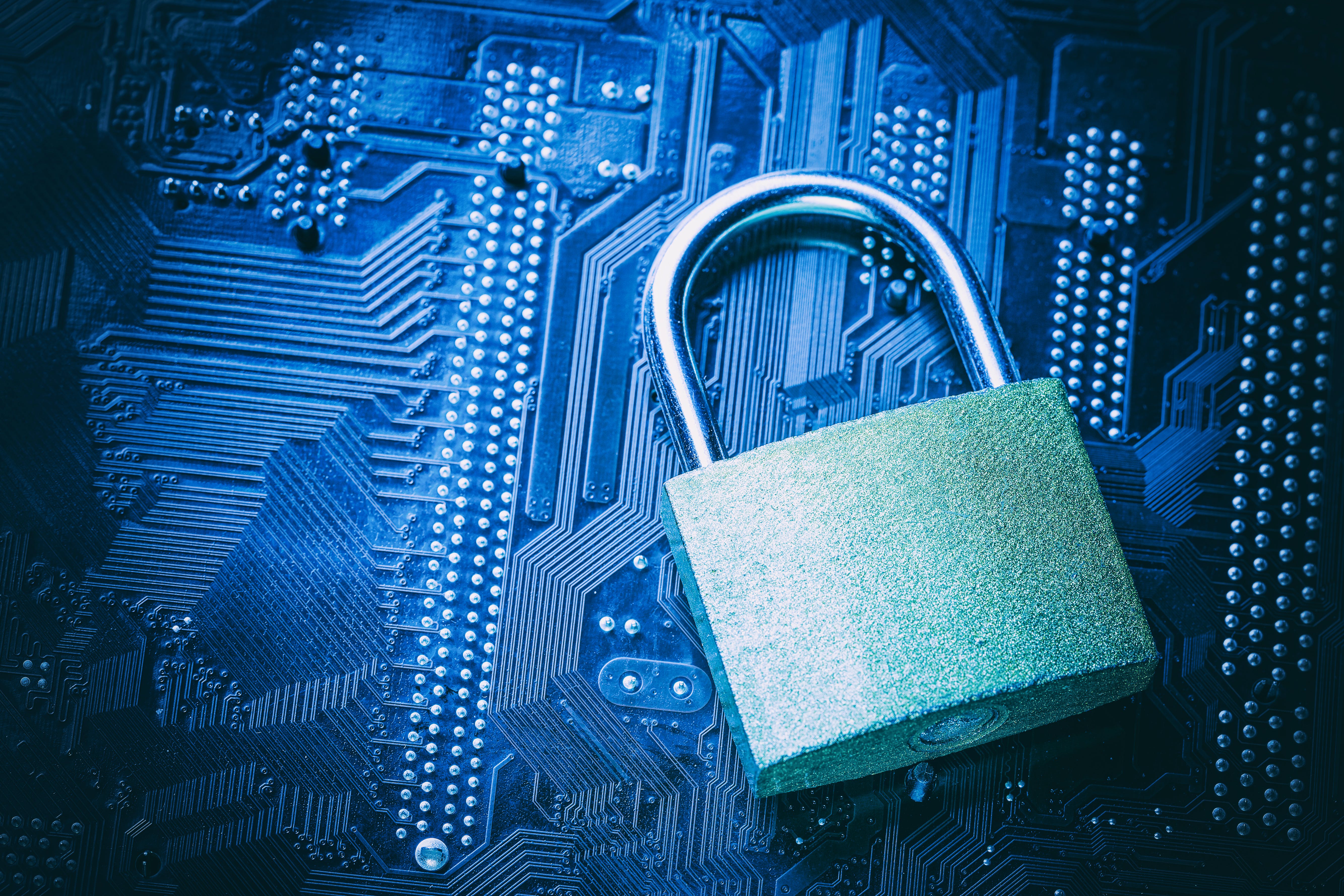 65426b0175a9d6001ff85b22 Dreamstime Xxl 96215780