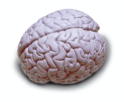 65450f1e3ffccc001ebb0dbb Dreamstime Xxl 3621629 65450f1e3ffccc001ebb0dbb Dreamstime Xxl 3621629