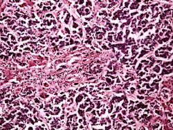 654a6f642d6d7e001e110f6e Dreamstime Xxl 29281334 654a6f642d6d7e001e110f6e Dreamstime Xxl 29281334