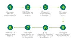 Figure 1 Figure 1