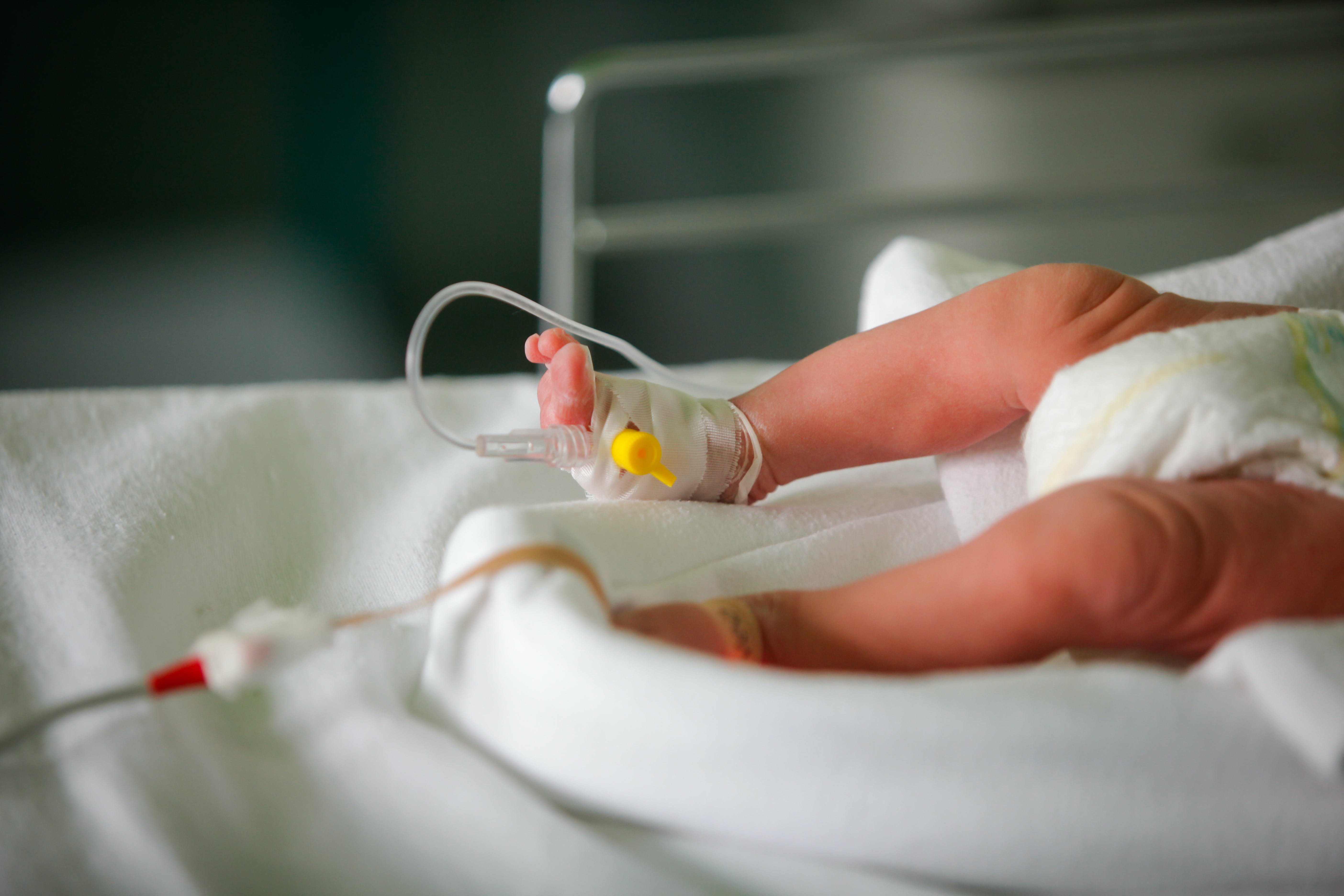 654e4e929f320a001e364ab8 Dreamstime Xxl 104134607