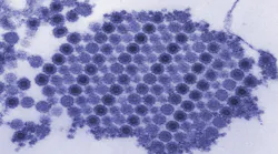 Courtesy of the CDC