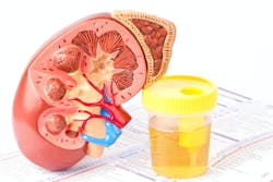 6564fb8a8d242b001ecb3ef1 Dreamstime Xxl 38866186 6564fb8a8d242b001ecb3ef1 Dreamstime Xxl 38866186