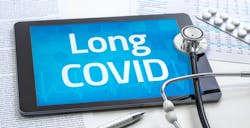 656dff7bac448c001eb5c222 Dreamstime Xxl 238995656 656dff7bac448c001eb5c222 Dreamstime Xxl 238995656