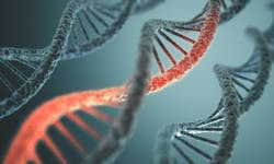 6579ca2d33b685001f9aafd7 Dreamstime Xxl 38849150 6579ca2d33b685001f9aafd7 Dreamstime Xxl 38849150