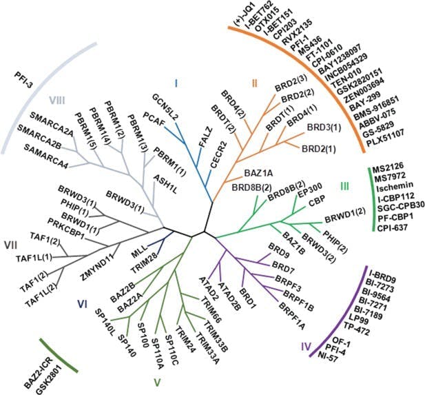 Figure 3: A phylogenetic representation of the 61 human bromodomains and their inhibitors.10