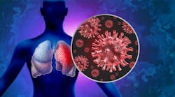 658070454df5f2001eacac1c Dreamstime Xxl 298659549 658070454df5f2001eacac1c Dreamstime Xxl 298659549