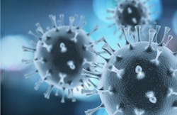 6581dd869ecf35001e42dfb0 Dreamstime Xxl 115257782 6581dd869ecf35001e42dfb0 Dreamstime Xxl 115257782