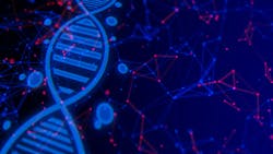 65846a1b6a8faf001e49b32f Dreamstime Xxl 174307725 1 65846a1b6a8faf001e49b32f Dreamstime Xxl 174307725 1