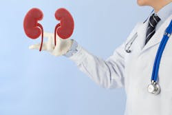 6596ce3197ae64001e650641 Dreamstime Xxl 159239177 6596ce3197ae64001e650641 Dreamstime Xxl 159239177