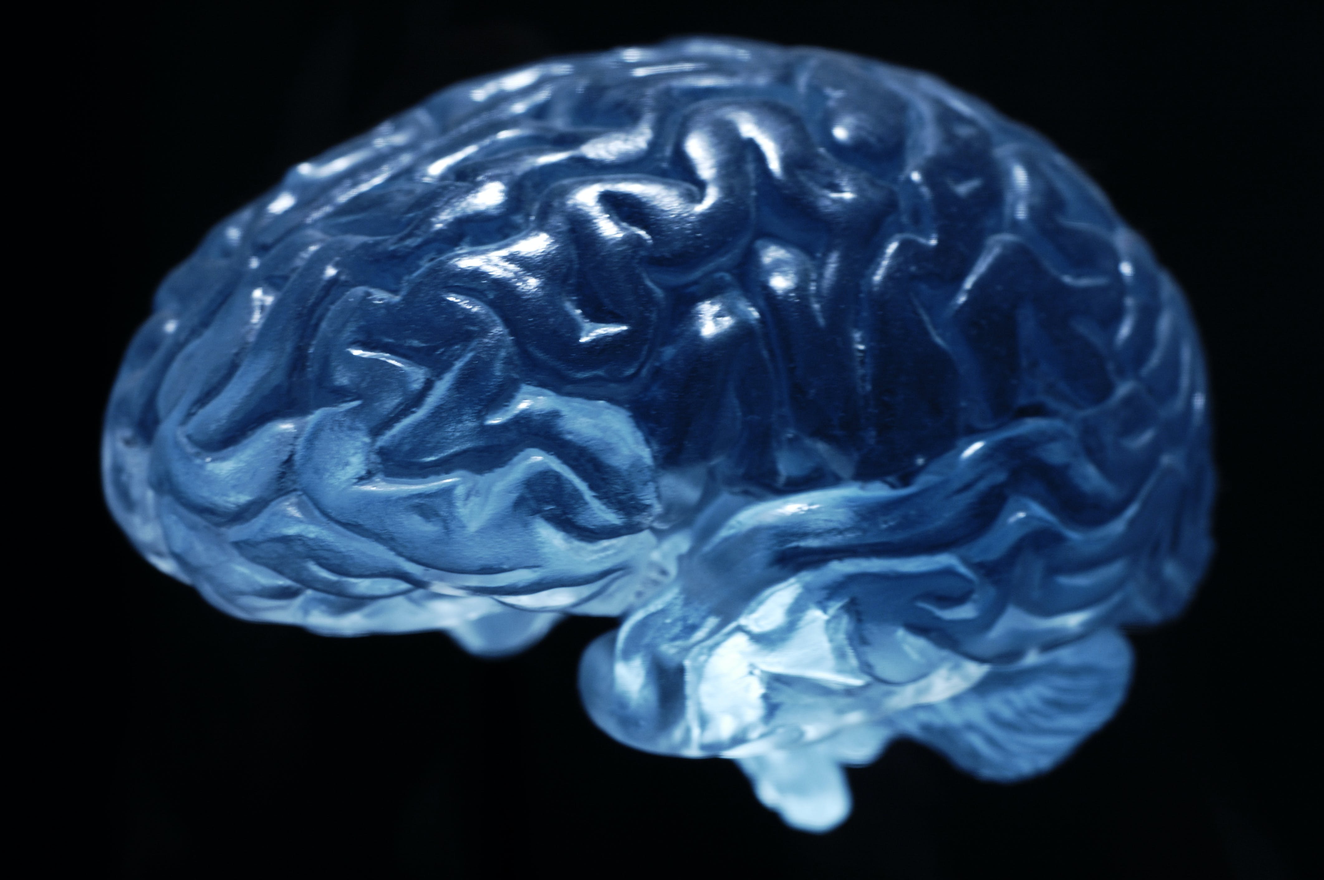 659ec842003b85001ef03997 Dreamstime Xxl 3067889 1