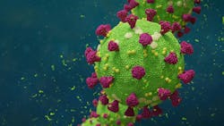 65a94a0d096f09001e127df6 Dreamstime Xxl 175017928 65a94a0d096f09001e127df6 Dreamstime Xxl 175017928