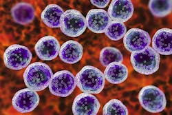 65aaa12c342d27001e29892d Dreamstime Xxl 128276917 65aaa12c342d27001e29892d Dreamstime Xxl 128276917