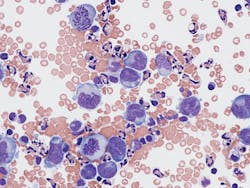 65afe6e8032b23001f5376df Dreamstime Xxl 278927694 65afe6e8032b23001f5376df Dreamstime Xxl 278927694