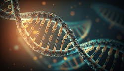 65afeb87680981001e0e3f50 Dreamstime Xxl 290186860 65afeb87680981001e0e3f50 Dreamstime Xxl 290186860