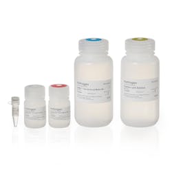 Courtesy of Thermo Fisher Courtesy of Thermo Fisher