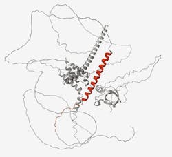 Protein containing a cryptic peptide (red) that results from a lack of functional TDP-43, as in ALS and FTD, NINDS. Protein containing a cryptic peptide (red) that results from a lack of functional TDP-43, as in ALS and FTD, NINDS.