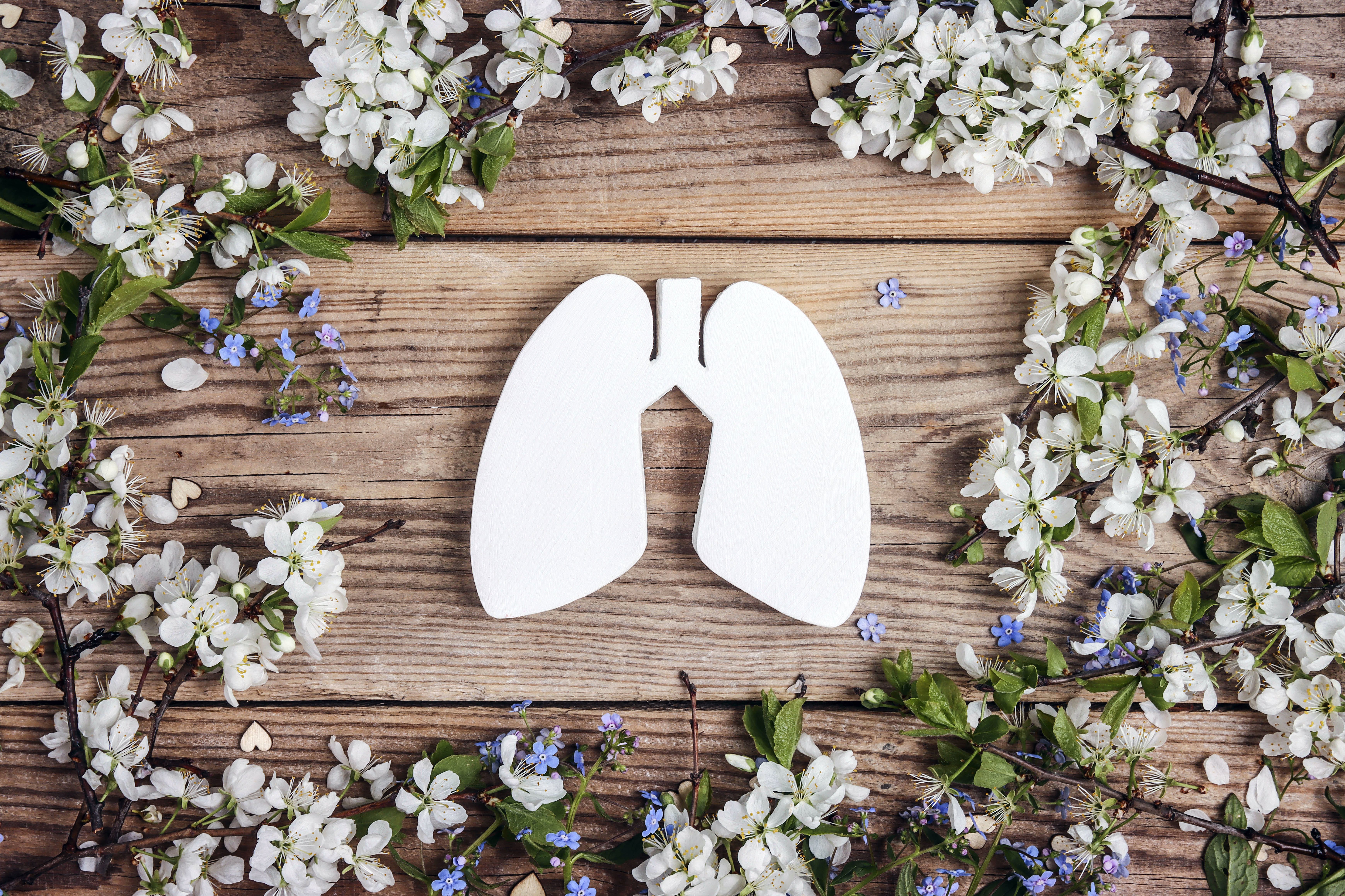 65c2632d27847b001e9023b6 Dreamstime Xxl 220218671