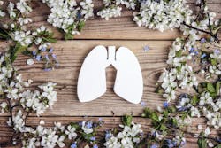 65c2632d27847b001e9023b6 Dreamstime Xxl 220218671 65c2632d27847b001e9023b6 Dreamstime Xxl 220218671