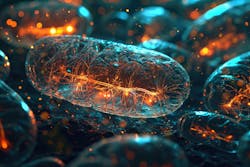 65c4feba9d95c0001e8237ff Dreamstime Xxl 303440018 65c4feba9d95c0001e8237ff Dreamstime Xxl 303440018